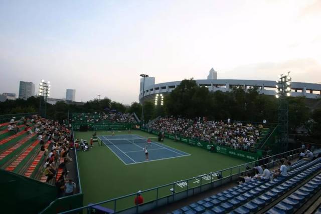 跟随公会导 跟随公会导